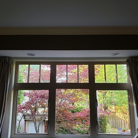 Elegant, Sunny Modern Home With Skylights - Kitsilano, Vancouver Eksteriør bilde